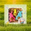 Cooka's Cookies Easter Box SOMEBUNNY LOVES YOU – wielkanocne ciasteczka dla psa 3 szt.